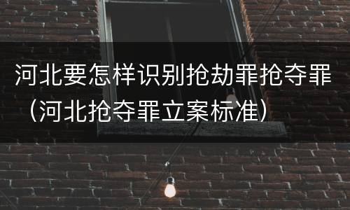 河北要怎样识别抢劫罪抢夺罪（河北抢夺罪立案标准）