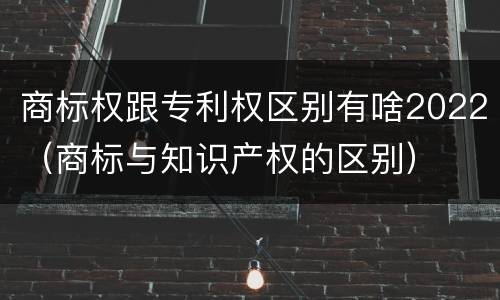 商标权跟专利权区别有啥2022（商标与知识产权的区别）