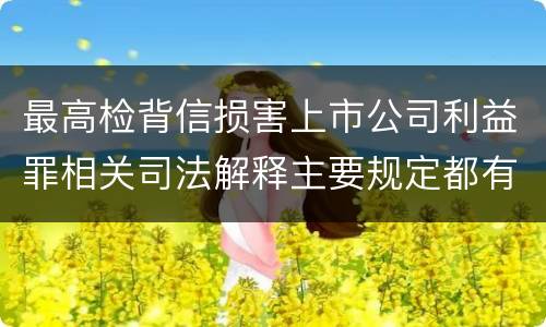 最高检背信损害上市公司利益罪相关司法解释主要规定都有哪些