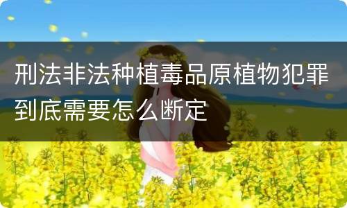 刑法非法种植毒品原植物犯罪到底需要怎么断定