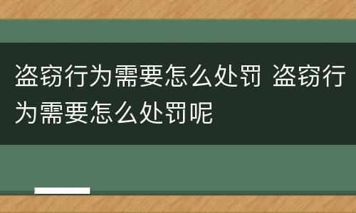 盗窃行为需要怎么处罚 盗窃行为需要怎么处罚呢