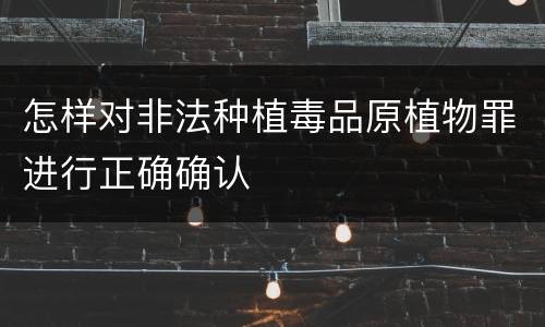 怎样对非法种植毒品原植物罪进行正确确认