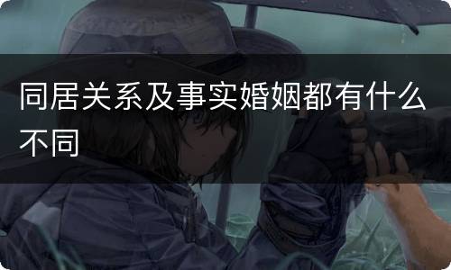 同居关系及事实婚姻都有什么不同