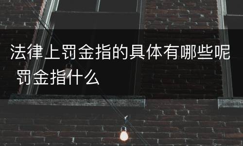 法律上罚金指的具体有哪些呢 罚金指什么
