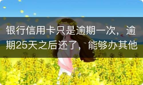 银行信用卡只是逾期一次，逾期25天之后还了，能够办其他银行信用卡