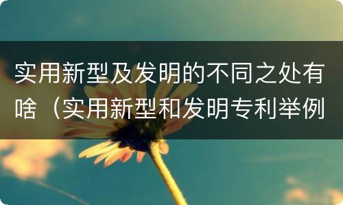 实用新型及发明的不同之处有啥（实用新型和发明专利举例）