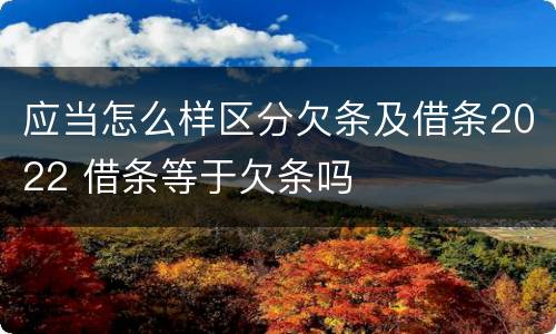 应当怎么样区分欠条及借条2022 借条等于欠条吗