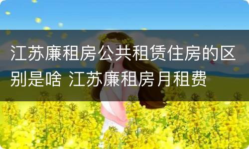 江苏廉租房公共租赁住房的区别是啥 江苏廉租房月租费