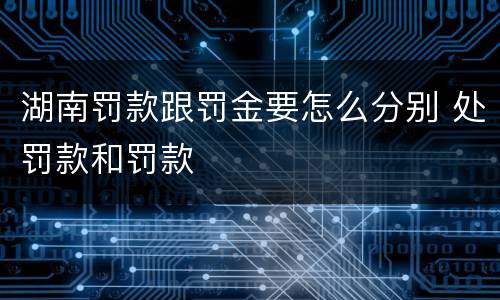 湖南罚款跟罚金要怎么分别 处罚款和罚款
