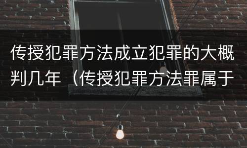 传授犯罪方法成立犯罪的大概判几年（传授犯罪方法罪属于什么犯罪类型）