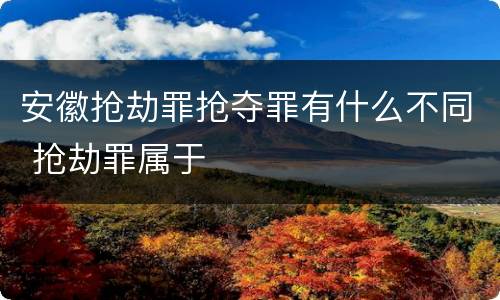 安徽抢劫罪抢夺罪有什么不同 抢劫罪属于