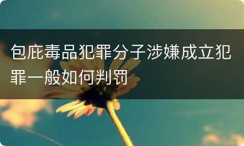 包庇毒品犯罪分子涉嫌成立犯罪一般如何判罚
