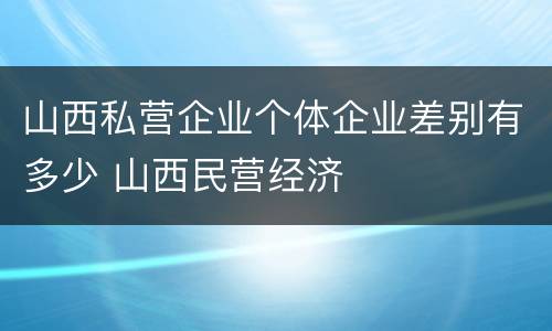 山西私营企业个体企业差别有多少 山西民营经济