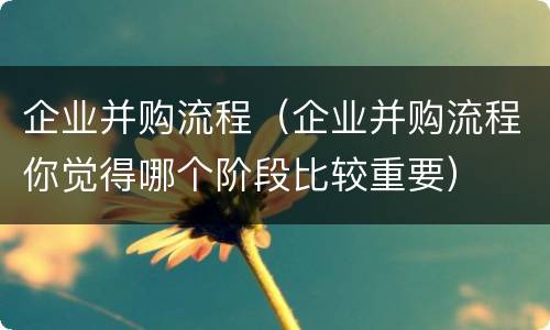企业并购流程（企业并购流程你觉得哪个阶段比较重要）