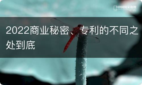 2022商业秘密、专利的不同之处到底