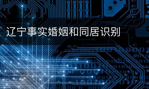 辽宁事实婚姻和同居识别
