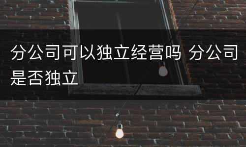 分公司可以独立经营吗 分公司是否独立