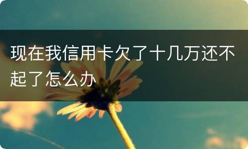 现在我信用卡欠了十几万还不起了怎么办