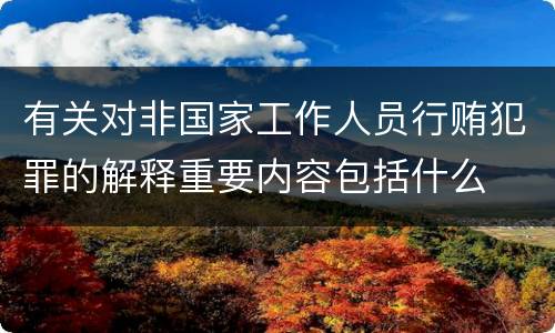 有关对非国家工作人员行贿犯罪的解释重要内容包括什么
