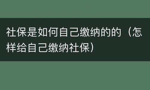 社保是如何自己缴纳的的（怎样给自己缴纳社保）