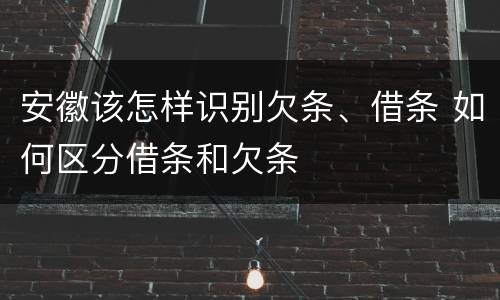安徽该怎样识别欠条、借条 如何区分借条和欠条