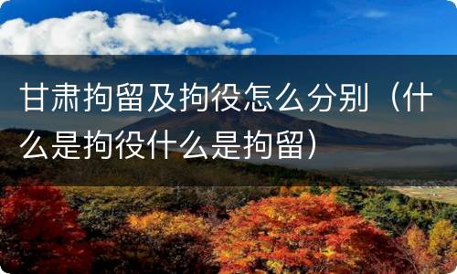 甘肃拘留及拘役怎么分别（什么是拘役什么是拘留）