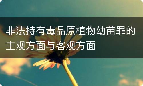 非法持有毒品原植物幼苗罪的主观方面与客观方面