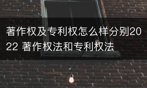 著作权及专利权怎么样分别2022 著作权法和专利权法