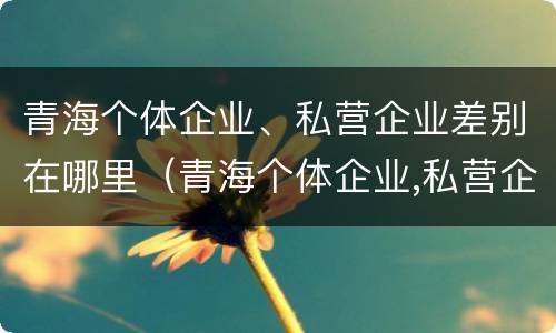 青海个体企业、私营企业差别在哪里（青海个体企业,私营企业差别在哪里啊）