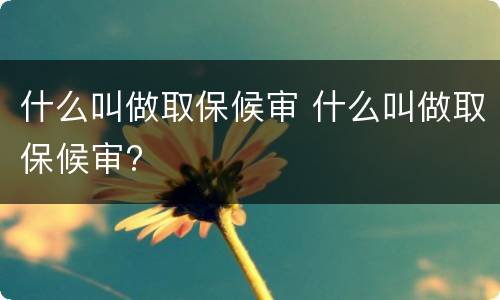 什么叫做取保候审 什么叫做取保候审?