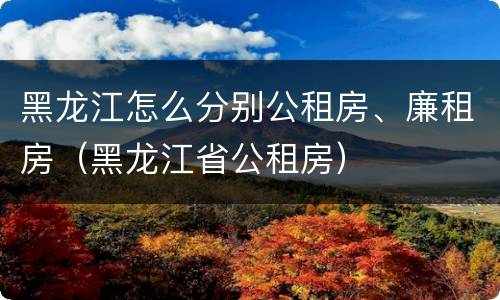 黑龙江怎么分别公租房、廉租房（黑龙江省公租房）