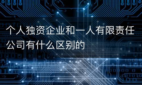 个人独资企业和一人有限责任公司有什么区别的