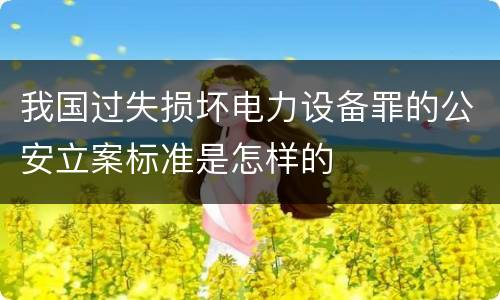 我国过失损坏电力设备罪的公安立案标准是怎样的