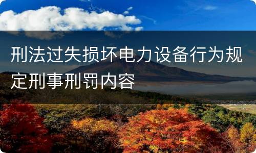 刑法过失损坏电力设备行为规定刑事刑罚内容