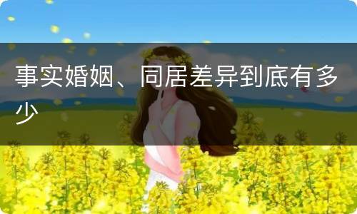 事实婚姻、同居差异到底有多少