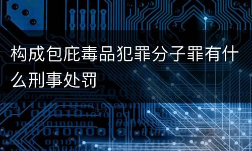 构成包庇毒品犯罪分子罪有什么刑事处罚