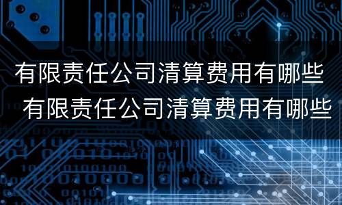 有限责任公司清算费用有哪些 有限责任公司清算费用有哪些内容