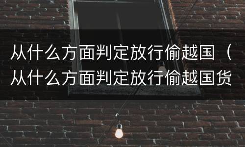 从什么方面判定放行偷越国（从什么方面判定放行偷越国货币）