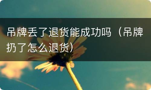 吊牌丢了退货能成功吗（吊牌扔了怎么退货）