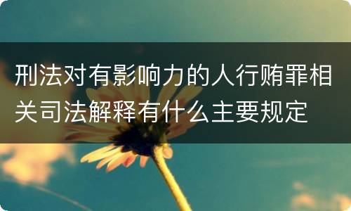 刑法对有影响力的人行贿罪相关司法解释有什么主要规定