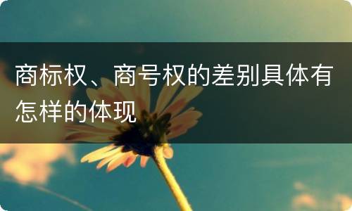 商标权、商号权的差别具体有怎样的体现