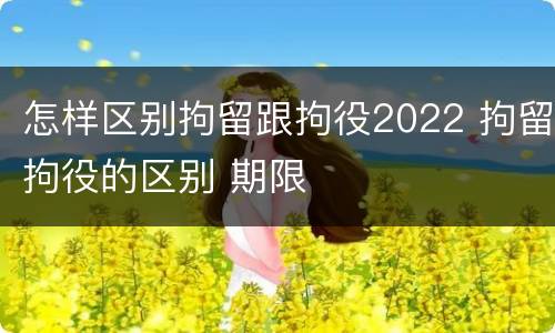怎样区别拘留跟拘役2022 拘留拘役的区别 期限