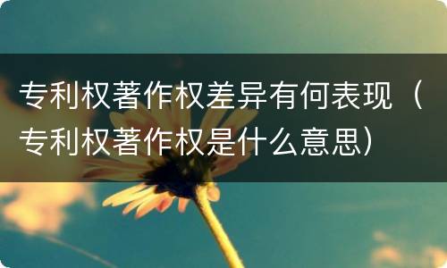 专利权著作权差异有何表现（专利权著作权是什么意思）