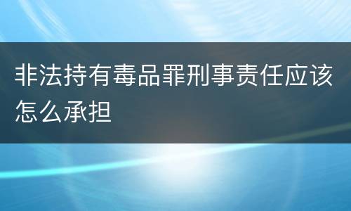 非法持有毒品罪刑事责任应该怎么承担