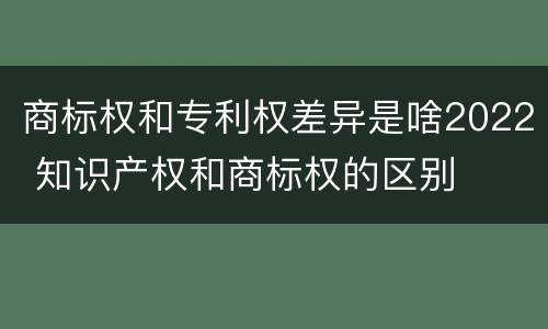 商标权和专利权差异是啥2022 知识产权和商标权的区别