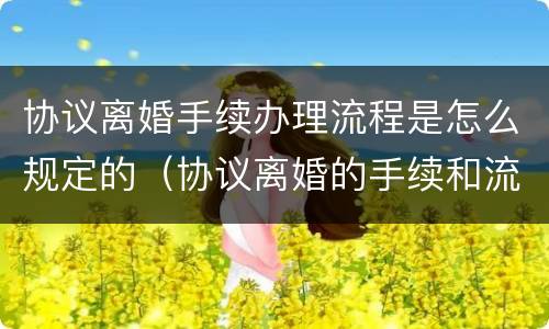协议离婚手续办理流程是怎么规定的（协议离婚的手续和流程）