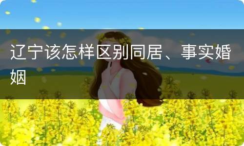 辽宁该怎样区别同居、事实婚姻