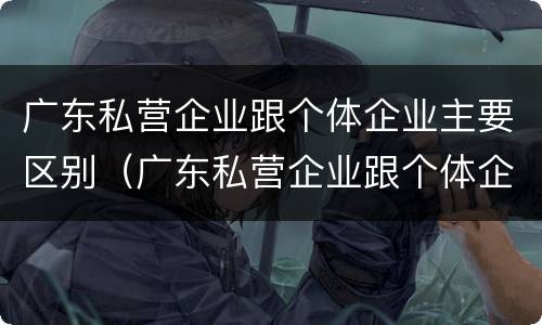 广东私营企业跟个体企业主要区别（广东私营企业跟个体企业主要区别在哪）