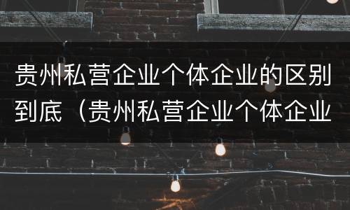 贵州私营企业个体企业的区别到底（贵州私营企业个体企业的区别到底是什么?）