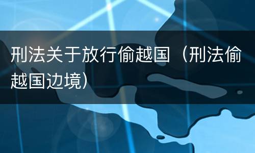 刑法关于放行偷越国（刑法偷越国边境）